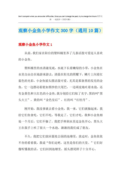 观察小金鱼小学作文300字(通用10篇)
