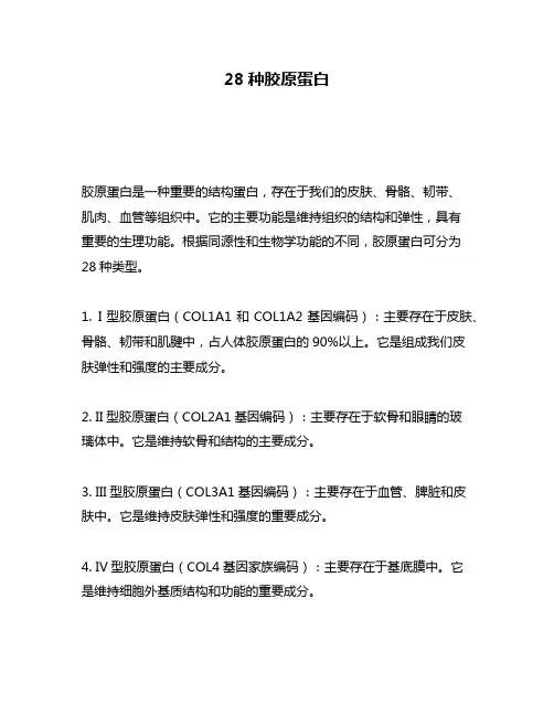 28种胶原蛋白