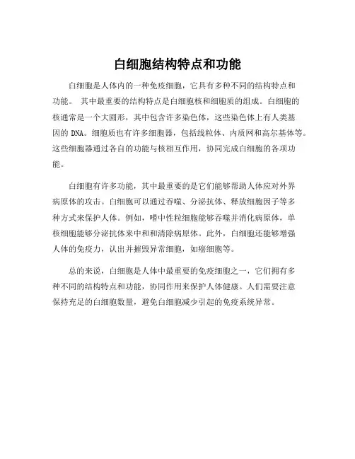 白细胞结构特点和功能