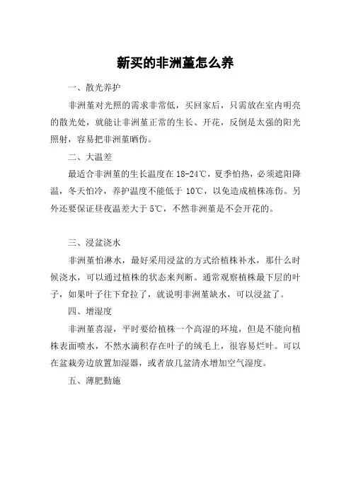 新买的非洲堇怎么养