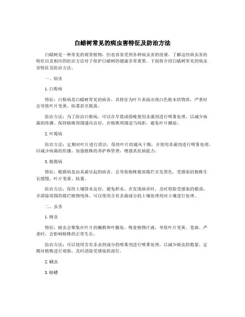 白蜡树常见的病虫害特征及防治方法