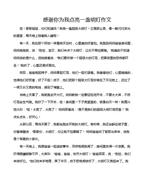 感谢你为我点亮一盏明灯作文