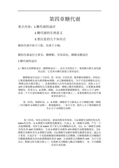 第四章糖代谢