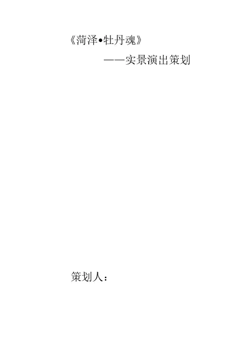 小型实景演出策划案