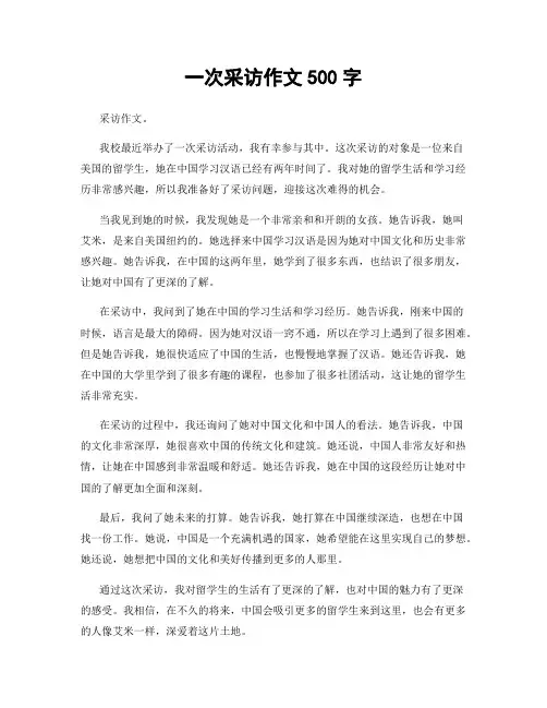 一次采访作文500字