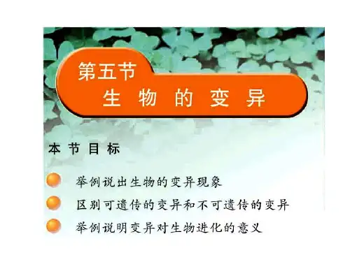 苏教版生物八下22.5《生物的变异》 课件(共21张PPT)