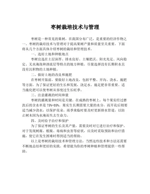 枣树栽培技术与管理