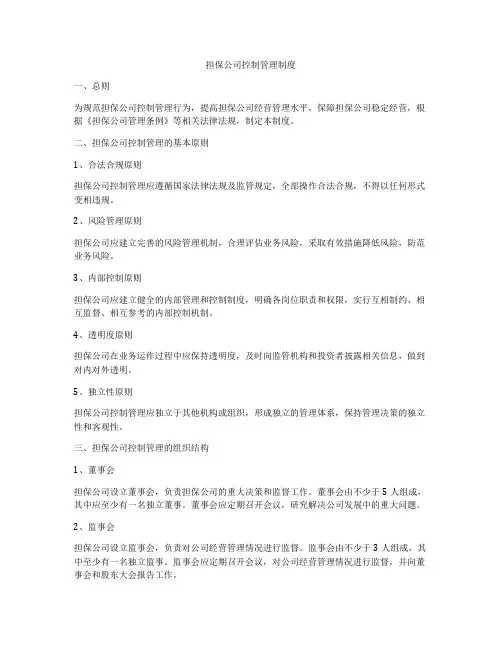 担保公司控制管理制度