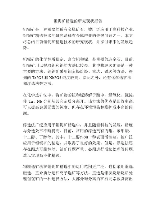 钽铌矿精选的研究现状报告