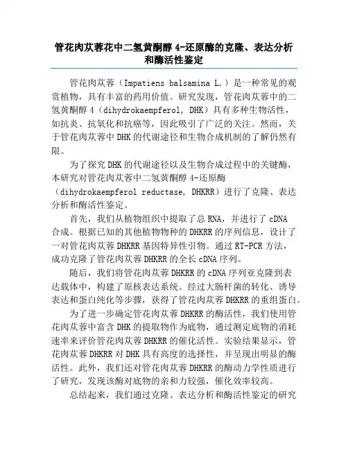 管花肉苁蓉花中二氢黄酮醇4-还原酶的克隆、表达分析和酶活性鉴定