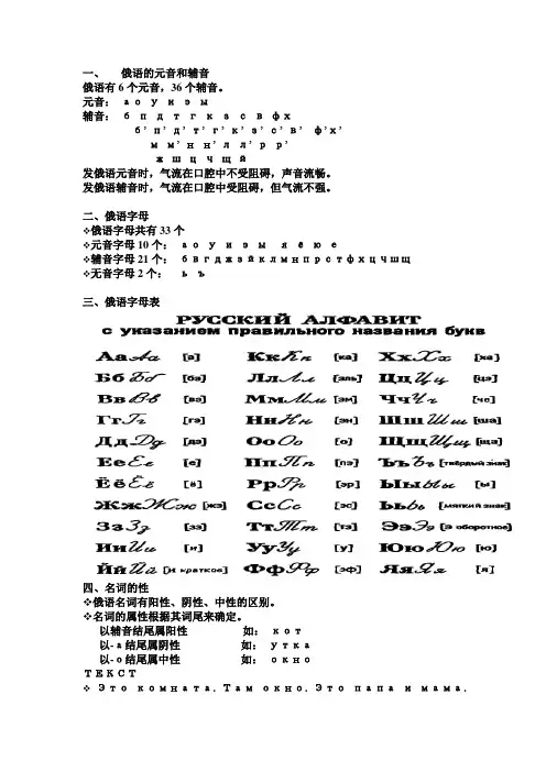 俄国概况