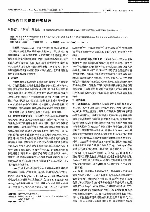 猕猴桃组织培养研究进展