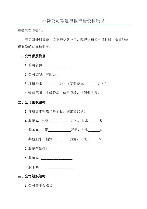 小贷公司筹建申报申请资料精品