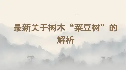最新关于树木“菜豆树”的解析