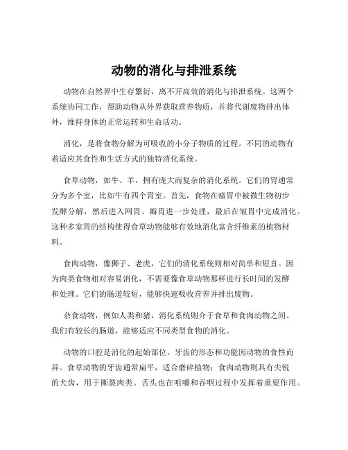动物的消化与排泄系统