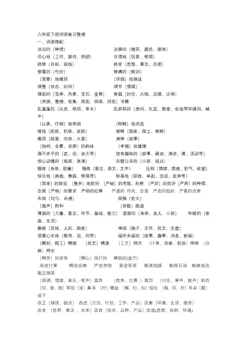 六下词语复习