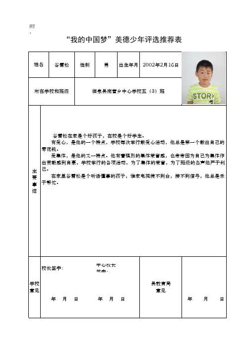 美德少年评选表