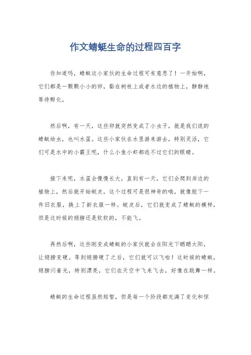 作文蜻蜓生命的过程四百字