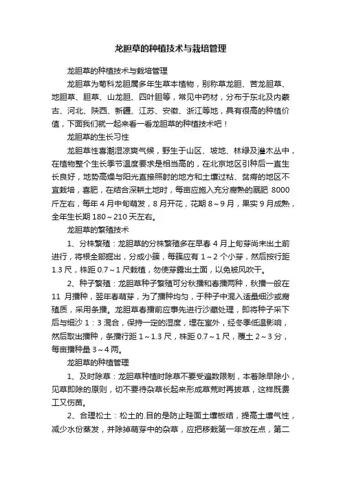 龙胆草的种植技术与栽培管理