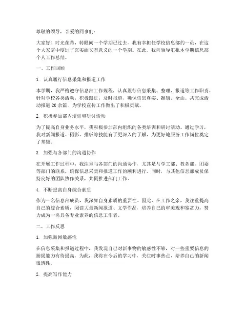 大学生信息部个人工作总结