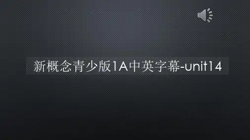 新概念青少版1A中英字幕-unit14【声音字幕同步PPT】