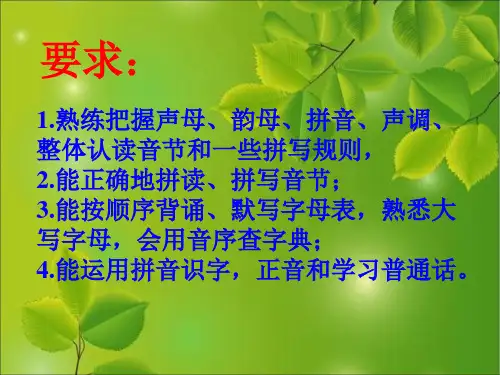 汉语拼音总复习教学课件ppt