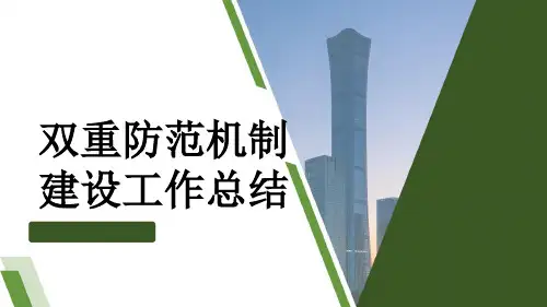双重防范机制建设工作总结