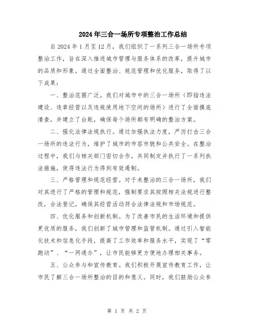 2024年三合一场所专项整治工作总结