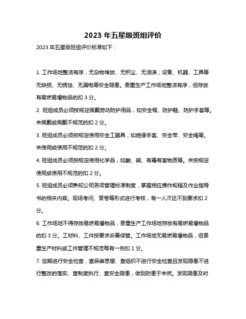 2023年五星级班组评价
