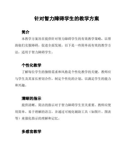 针对智力障碍学生的教学方案