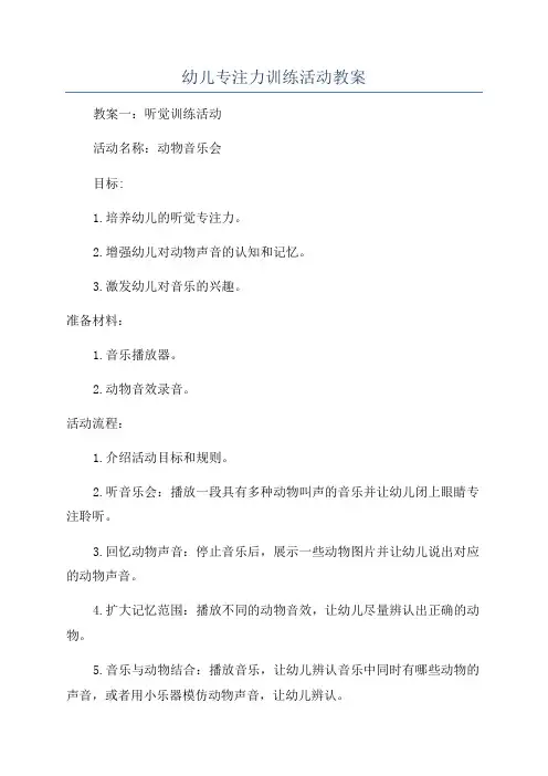幼儿专注力训练活动教案
