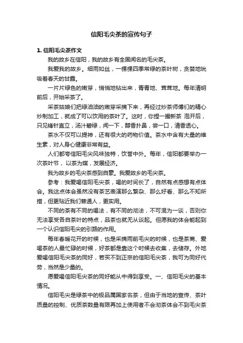 信阳毛尖茶的宣传句子