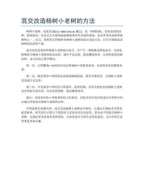 混交改造杨树小老树的方法