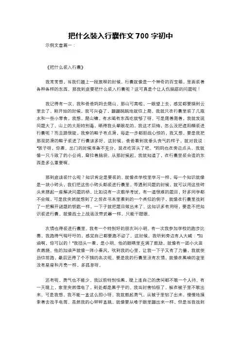 把什么装入行囊作文700字初中