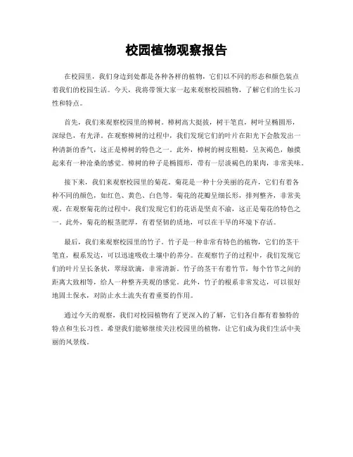 校园植物观察报告