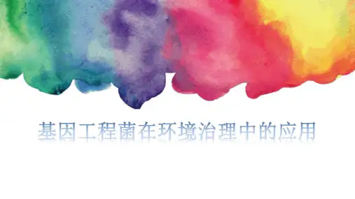基因工程菌介绍汇报