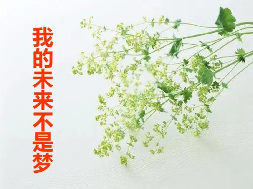 小学生主题班会ppt课件我的未来不是梦通用版