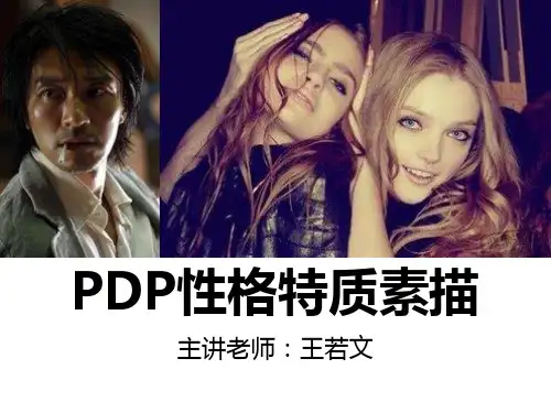 PDP特质测试
