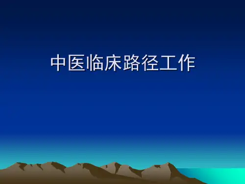 中医临床路径工作ppt课件