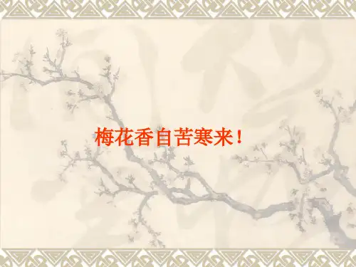 第4章基于Struts2的个人信息管理系统项目实训