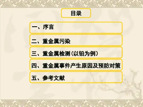 食品安全问题：重金属污染_PPT幻灯片