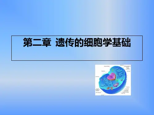 遗传学第二章遗传的细胞学基础ppt课件
