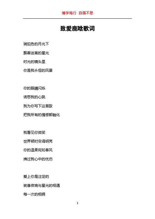 致爱鹿晗歌词