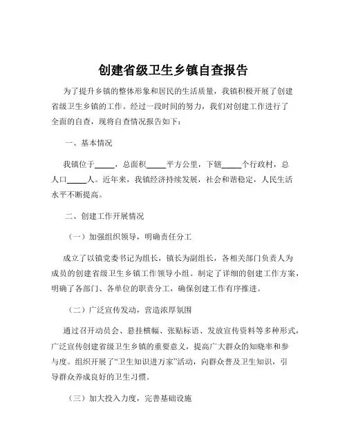 创建省级卫生乡镇自查报告