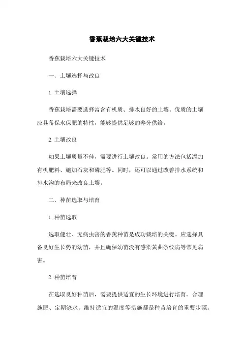 香蕉栽培六大关键技术