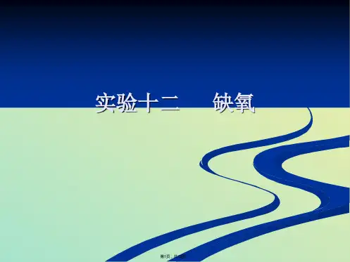 实验十二(与“缺氧”相关文档)共18张PPT