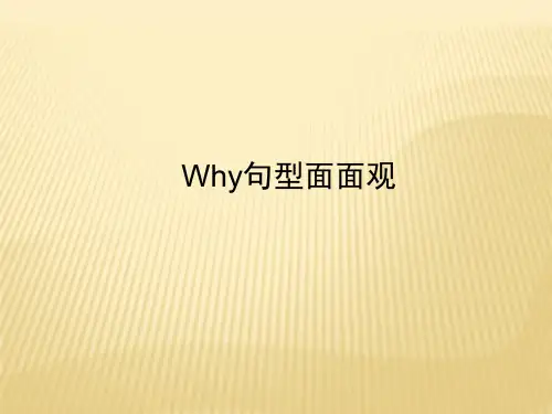 小学英语特殊疑问句精讲