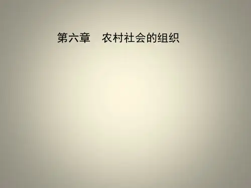农村社会学PPT-第六章 农村社会的组织