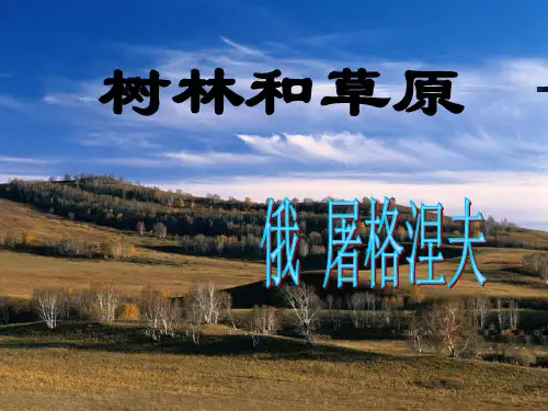 《树林和草原》ppt课件