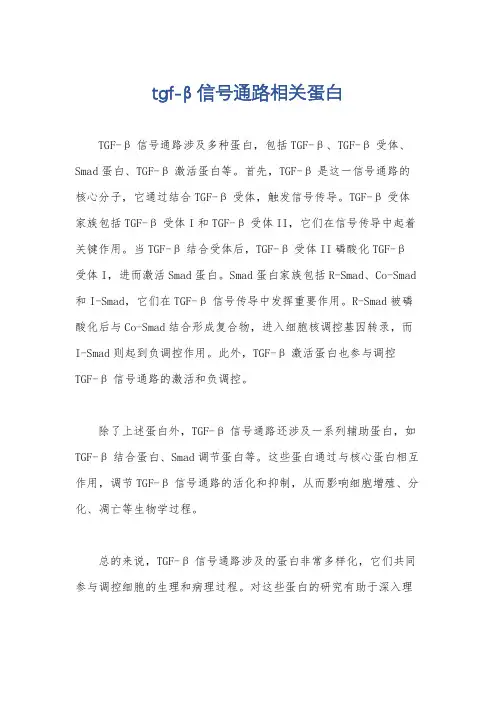 tgf-β信号通路相关蛋白